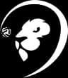 Logo Leonessa Cup